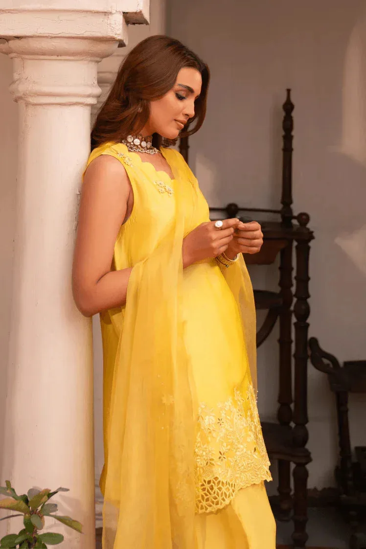 Muntaha by Shanzay Fahad Aangan Eid Edit Raw Silk – view 5 – Poshaq