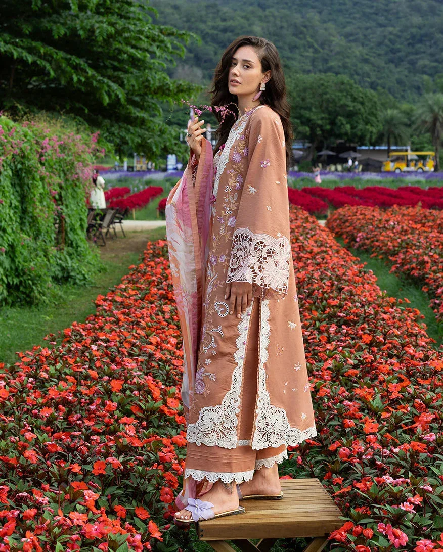 mushqofficial Rust Organza – view 2 – Poshaq