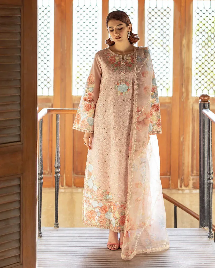Mushq Pakistan Light peach Organza – view 6 – Poshaq