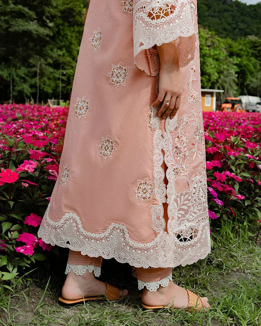 mushqofficial Peach Organza – view 4 – Poshaq