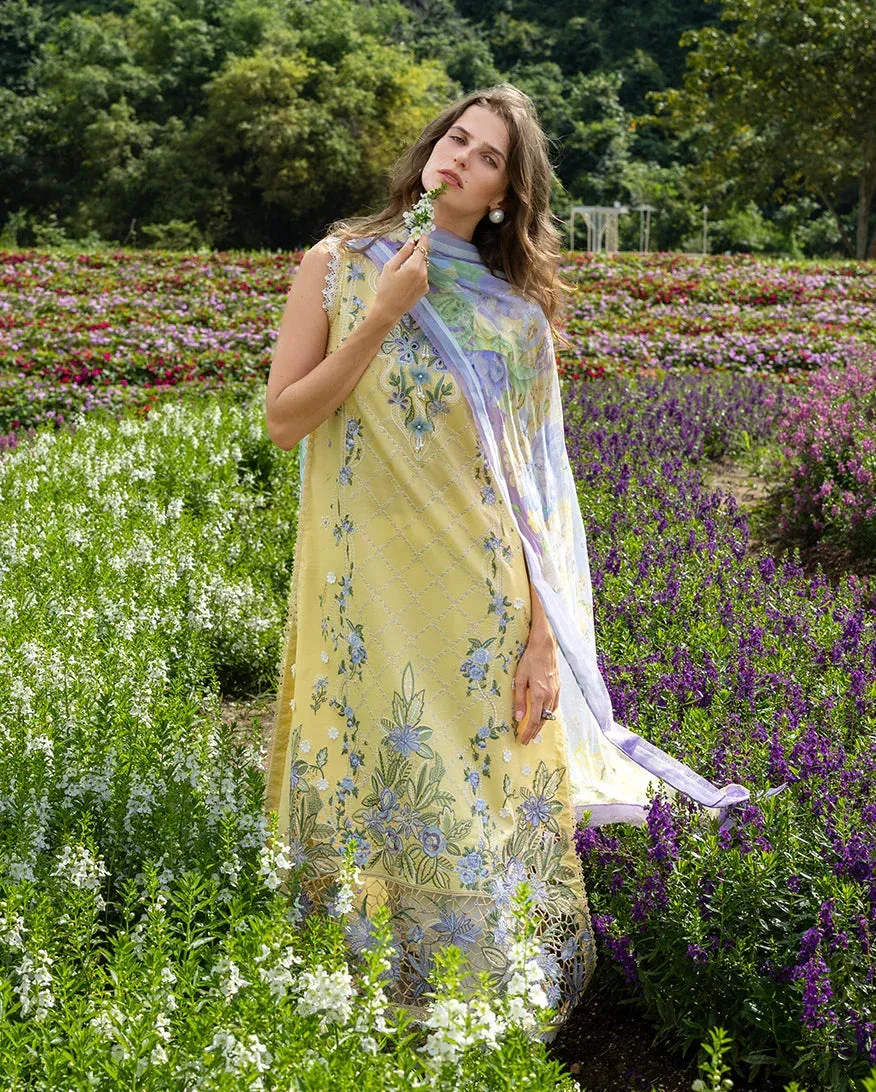 mushqofficial Yellow Organza – view 6 – Poshaq