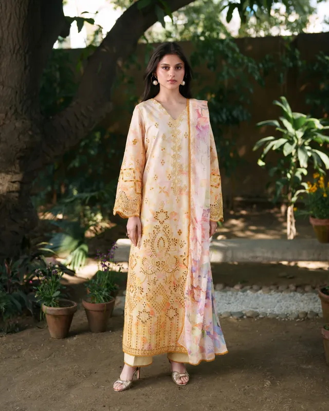 NeeshayOfficial Organza – view 1 – Poshaq