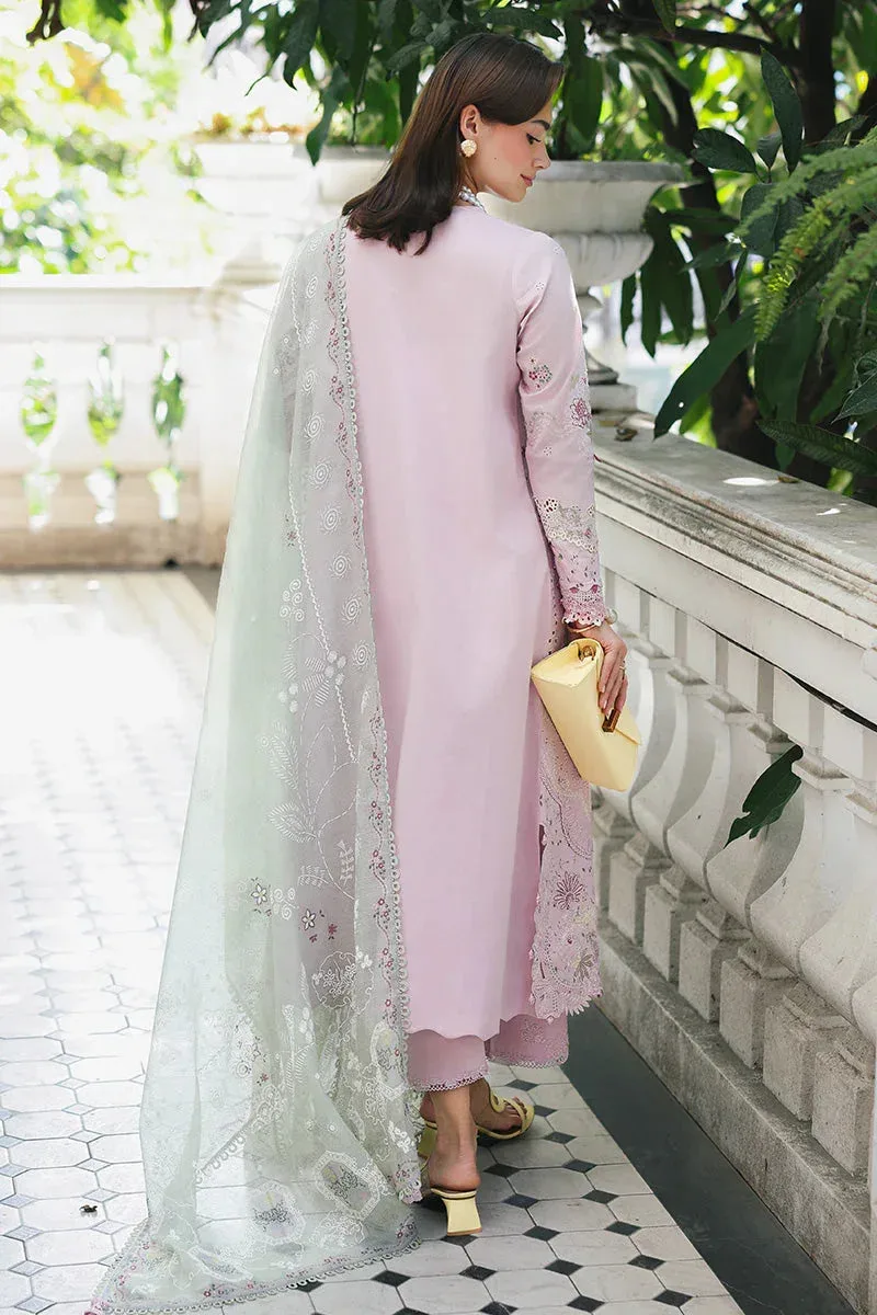 Qalamkar Chiffon – view 6 – Poshaq