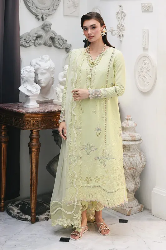 Qalamkar Chiffon – view 1 – Poshaq