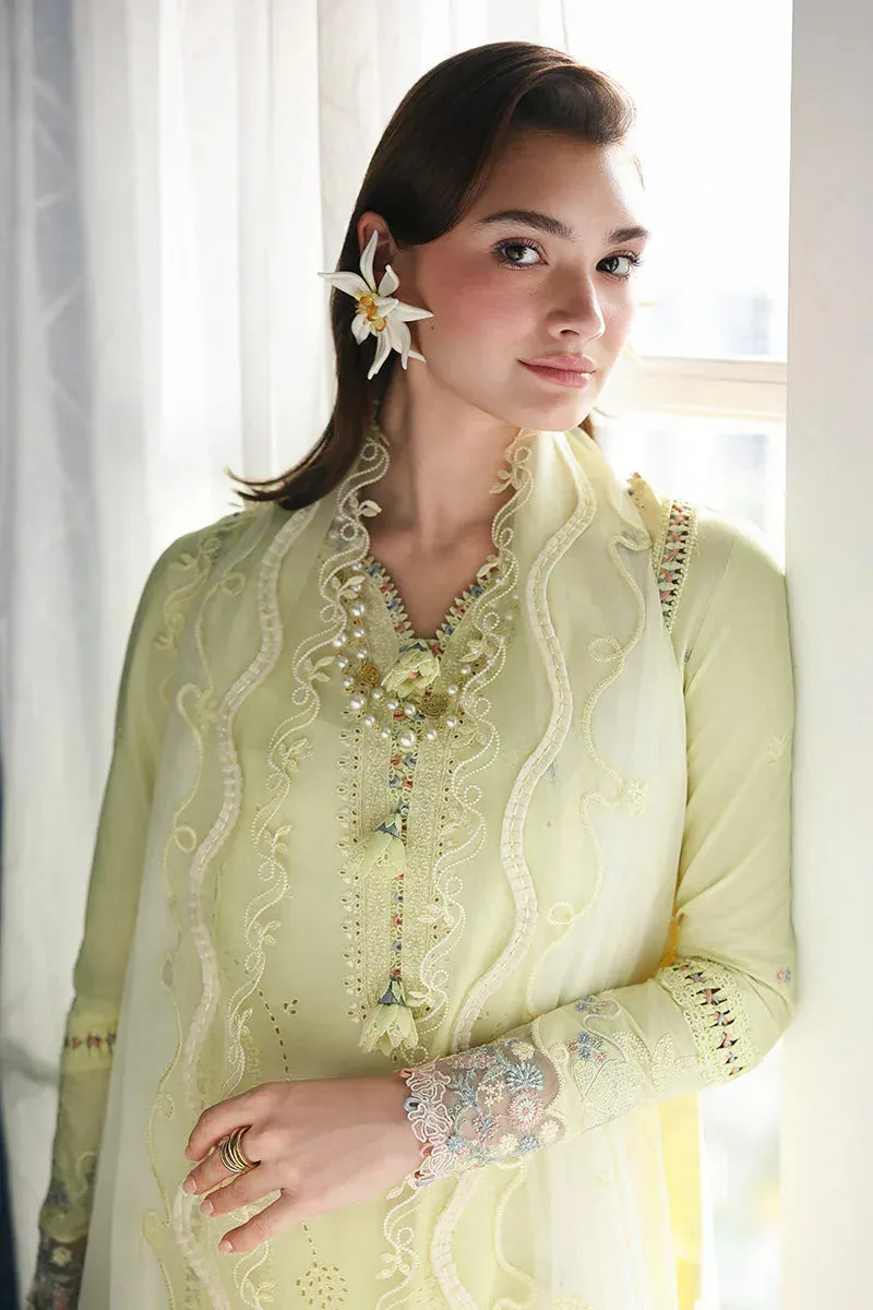 Qalamkar Chiffon – view 2 – Poshaq