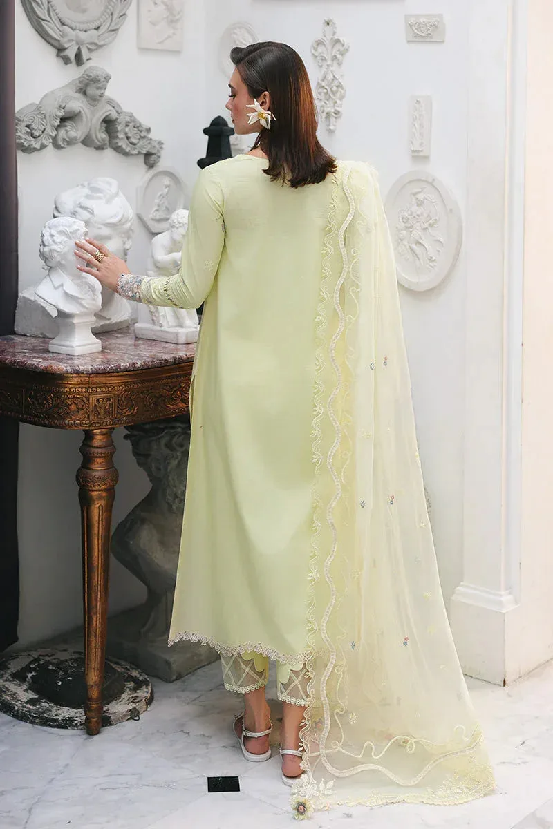 Qalamkar Chiffon – view 3 – Poshaq