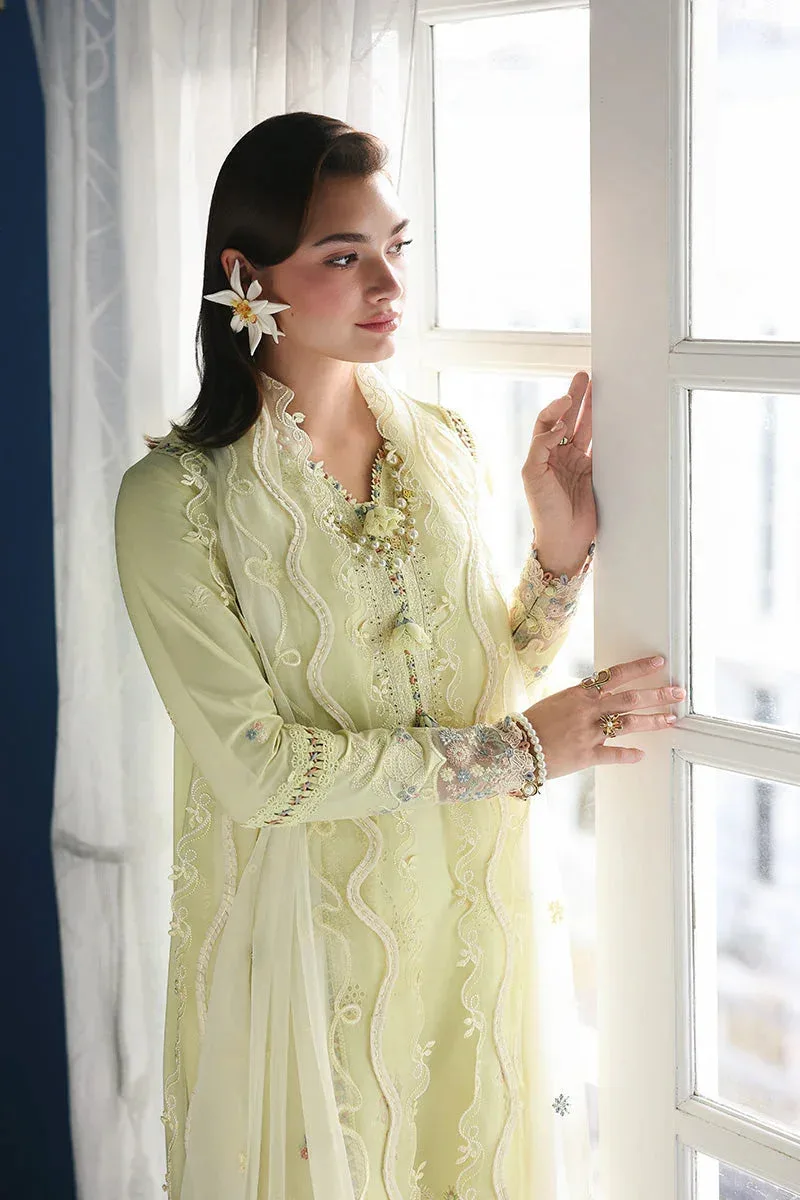 Qalamkar Chiffon – view 4 – Poshaq