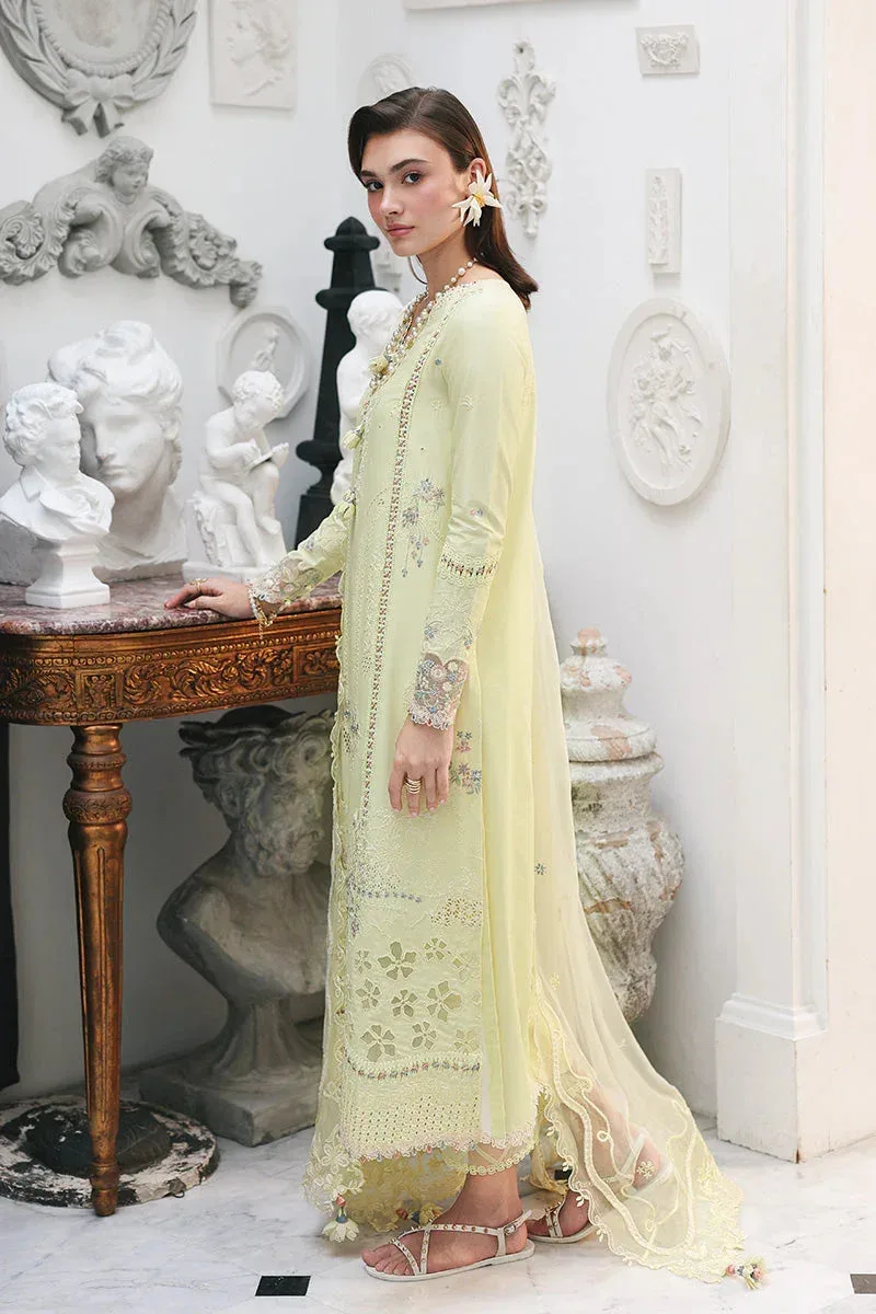 Qalamkar Chiffon – view 6 – Poshaq