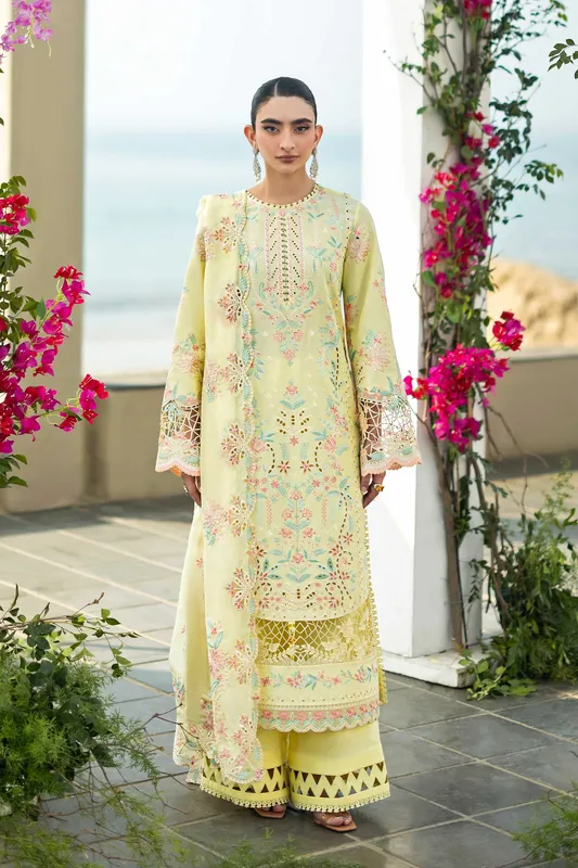 Akbar Aslam Organza – view 1 – Poshaq