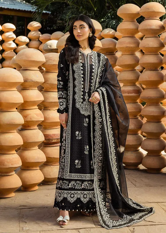 Akbar Aslam Organza – view 1 – Poshaq