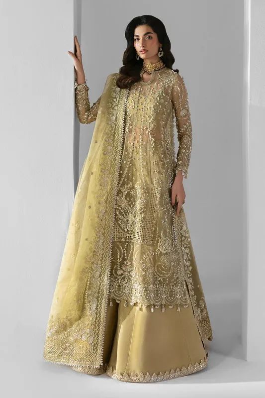 Zarposh Official Raw Silk – view 1 – Poshaq