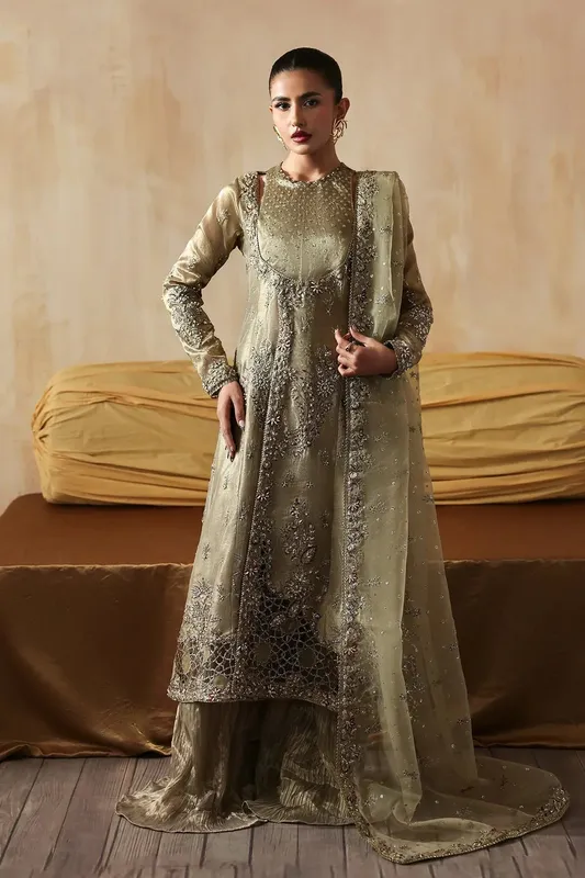 Zarposh Official Organza – view 1 – Poshaq