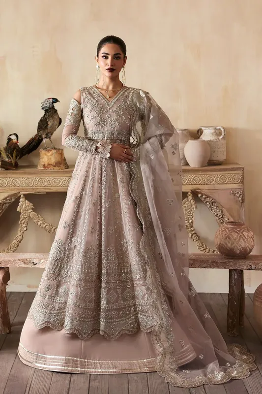 Zarposh Official Organza – view 1 – Poshaq