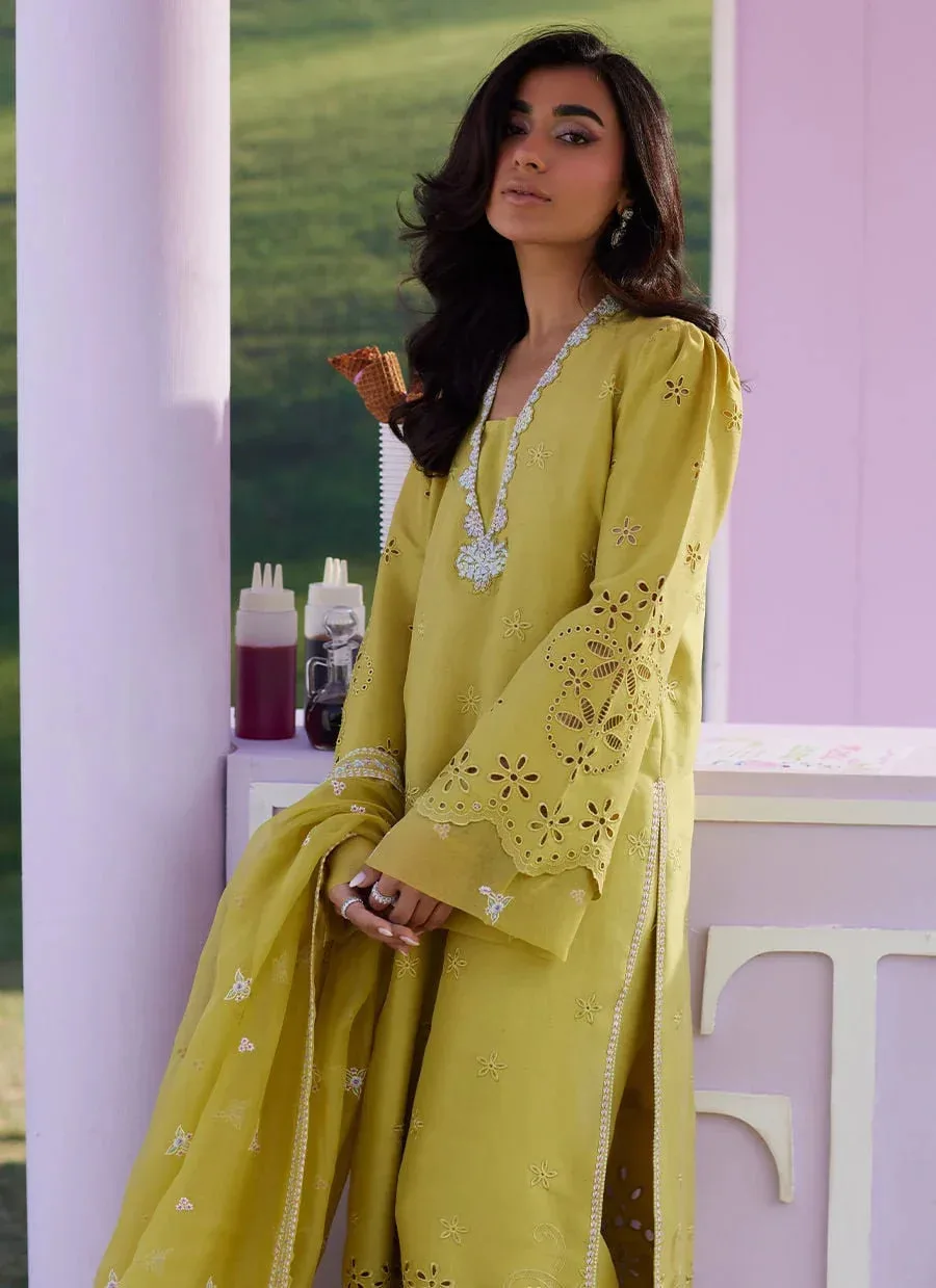 Farah Talib Aziz Luna Eid 26 Yellow Raw Silk – view 3 – Poshaq