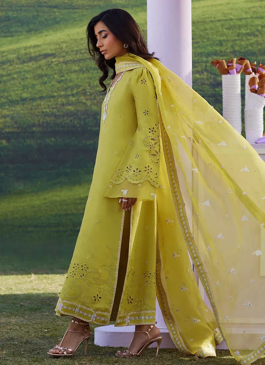 Farah Talib Aziz Luna Eid 26 Yellow Raw Silk – view 5 – Poshaq