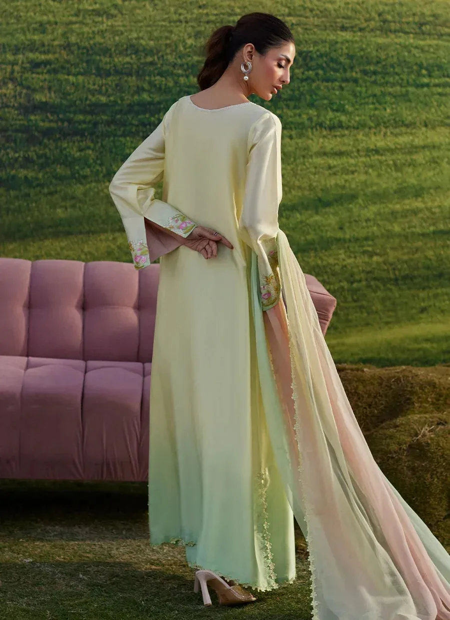 Farah Talib Aziz Luna Eid 26 Mint Chiffon – view 2 – Poshaq