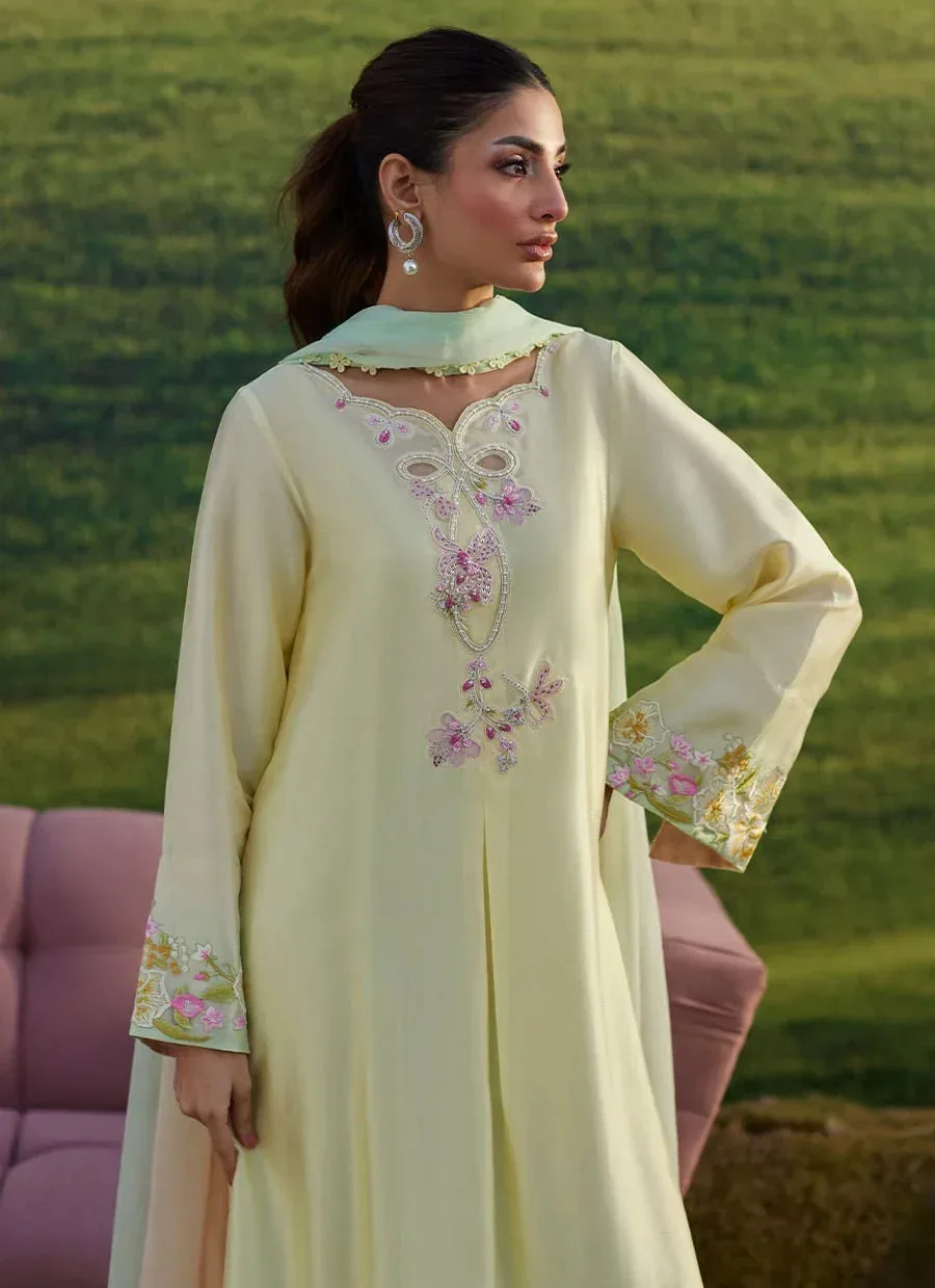 Farah Talib Aziz Luna Eid 26 Mint Chiffon – view 3 – Poshaq