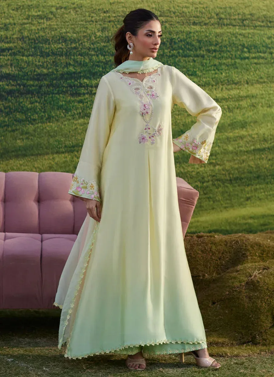 Farah Talib Aziz Luna Eid 26 Mint Chiffon – view 4 – Poshaq