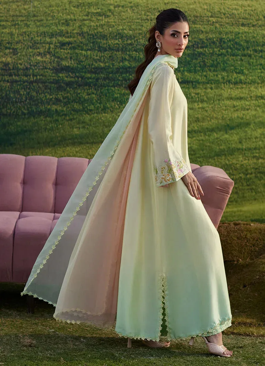 Farah Talib Aziz Luna Eid 26 Mint Chiffon – view 5 – Poshaq