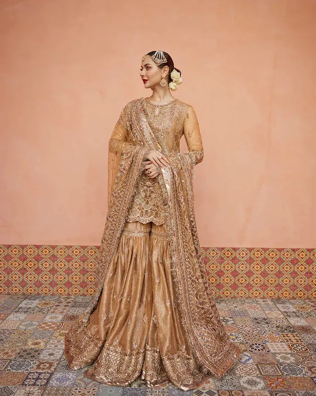 Faiza Saqlain Neorah 24' RTW Brown Net – view 1 – Poshaq