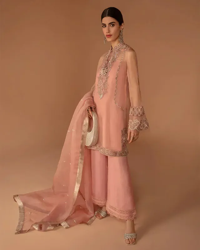 Faiza Saqlain Aleira Evening Edit 24 Peach Raw Silk – view 1 – Poshaq