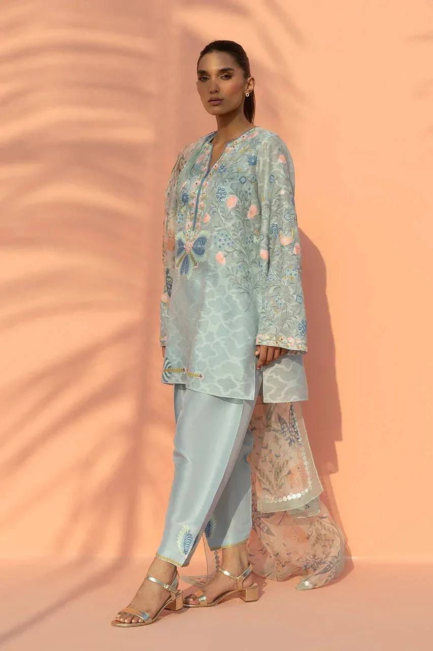Sania Maskatiya Eid Edit 26 Peach Organza – view 3 – Poshaq