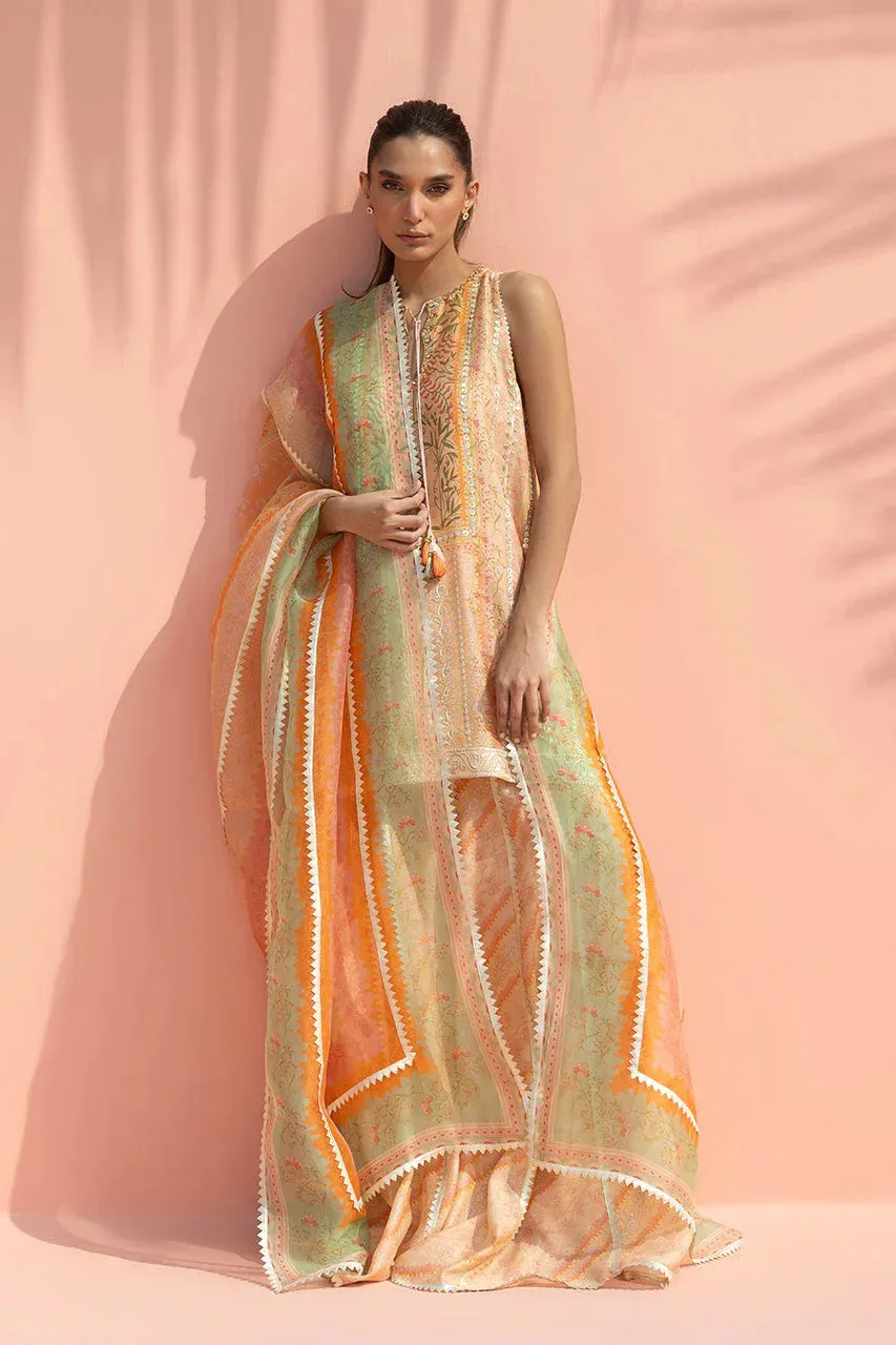 Sania Maskatiya Eid Edit 26 Peach Organza – view 1 – Poshaq