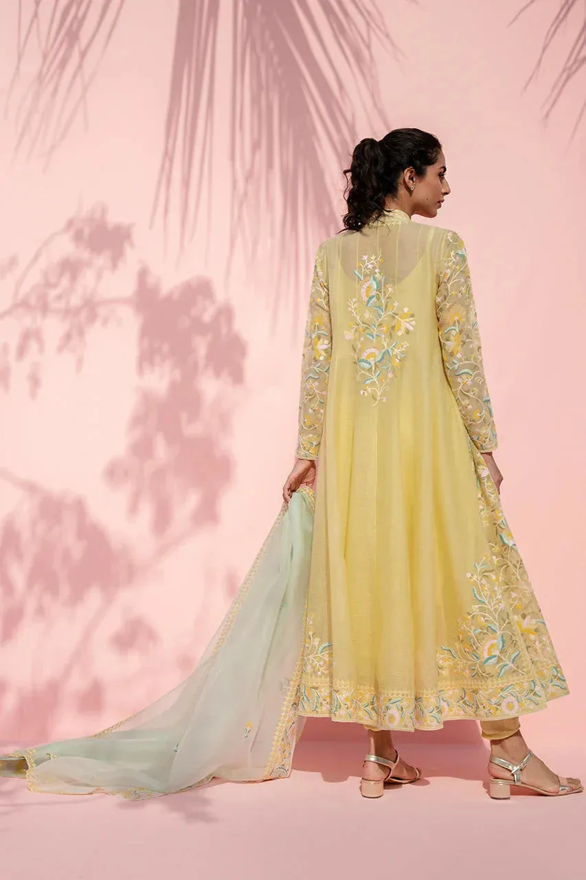 Sania Maskatiya Eid Edit 26 Yellow Organza – view 2 – Poshaq