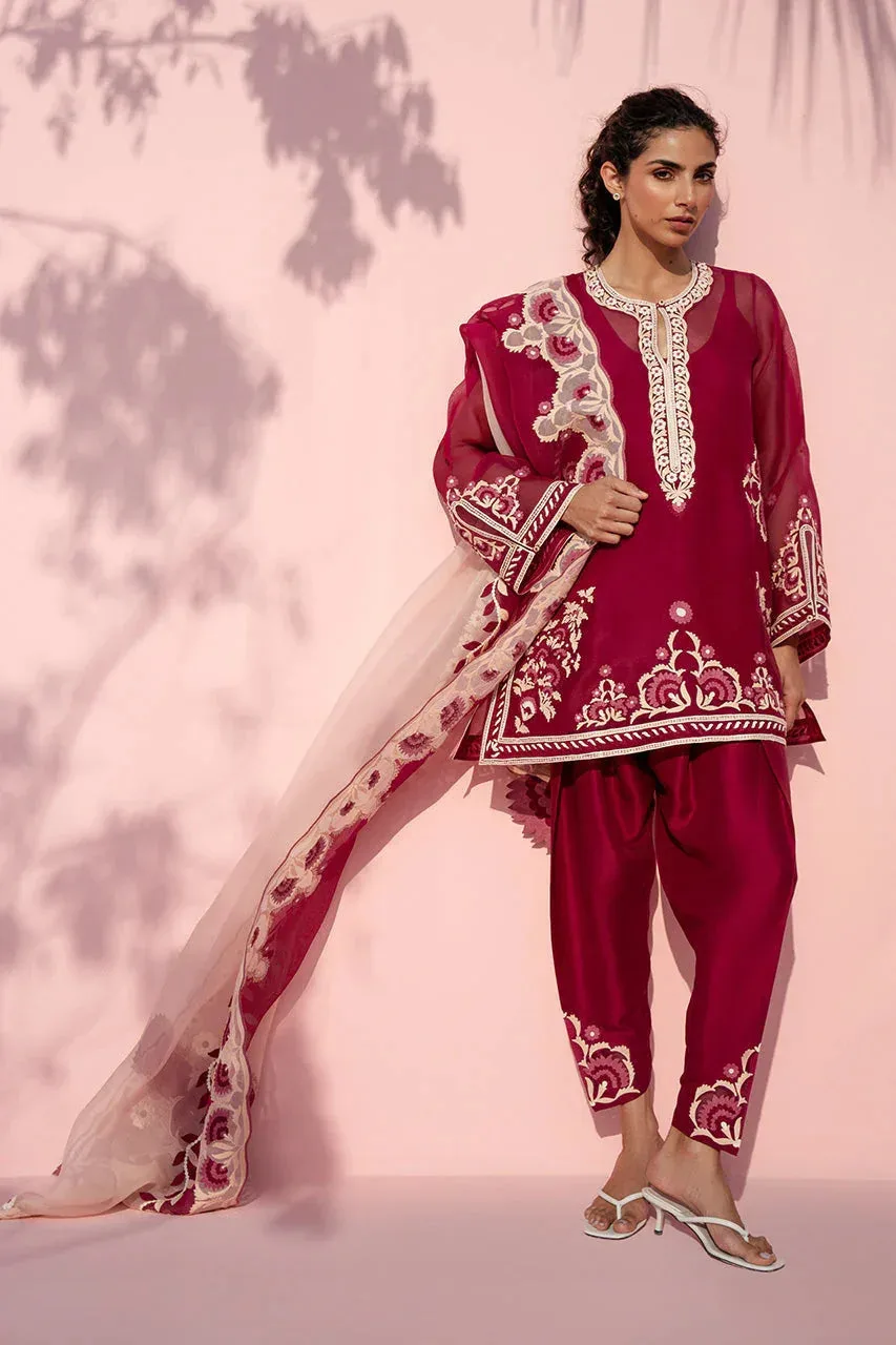 Sania Maskatiya Eid Edit 26 Cream Organza – view 1 – Poshaq