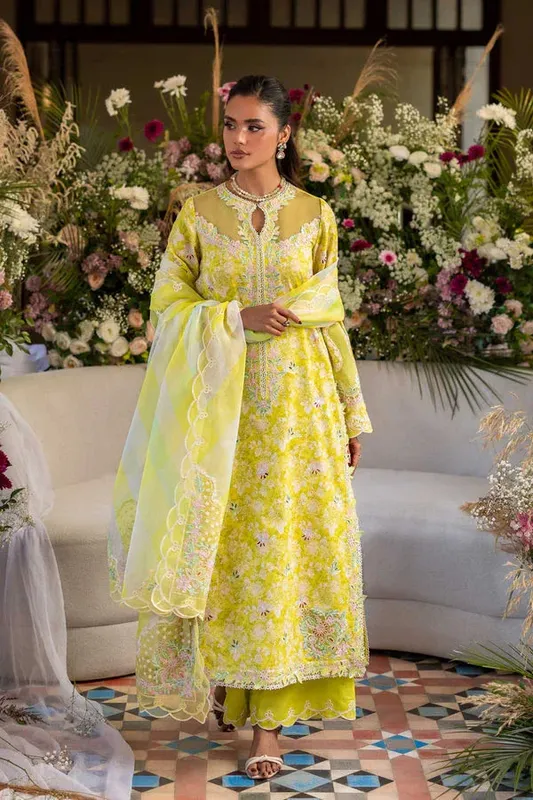 Akbar Aslam Elaria Ready to Wear Lawn 26 Organza – view 1 – Poshaq