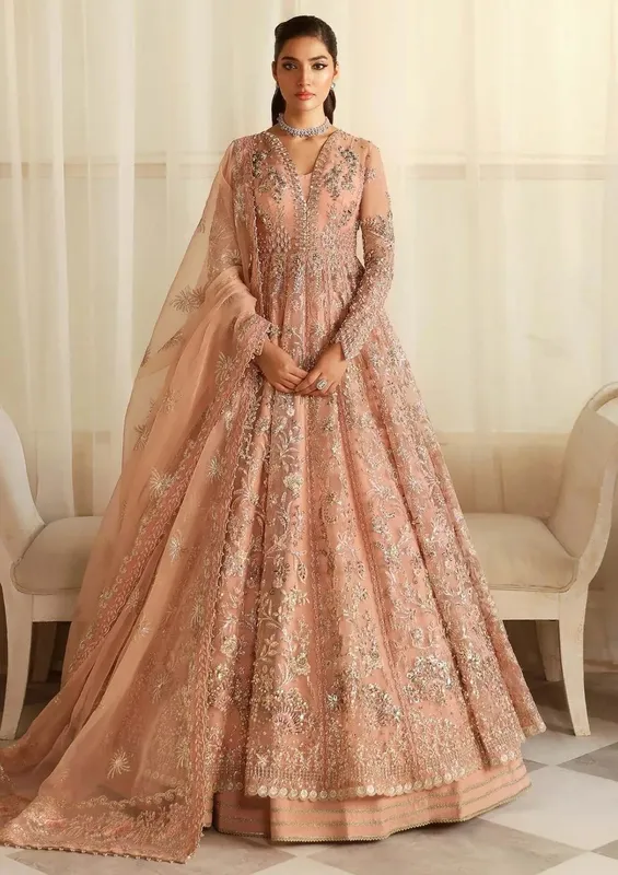 Akbar Aslam Aleia 24 Organza – view 1 – Poshaq
