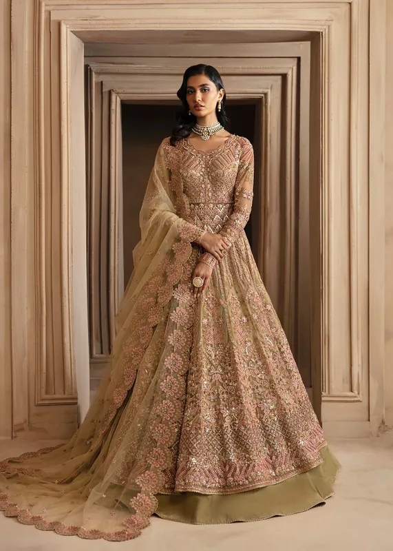 Akbar Aslam Formals Organza – view 1 – Poshaq