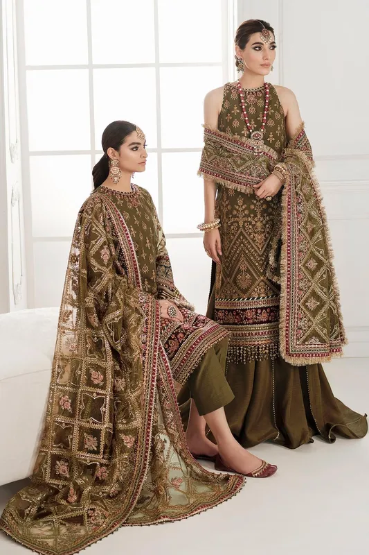 Maroon Chiffon – view 1 – Poshaq