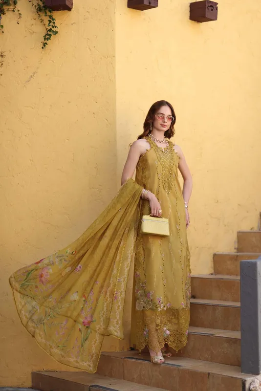 Noor by Saadia Asad Luxe Chikankari 26 Chiffon – view 1 – Poshaq