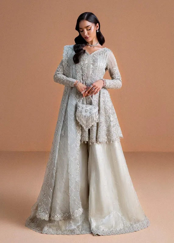 Kanwal Malik Nysa Luxury Pret 25 Silver Organza – view 1 – Poshaq