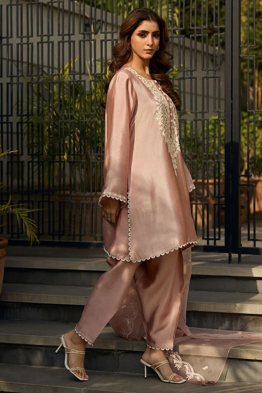 Deepak Perwani Eid Edit Pink Organza – view 2 – Poshaq