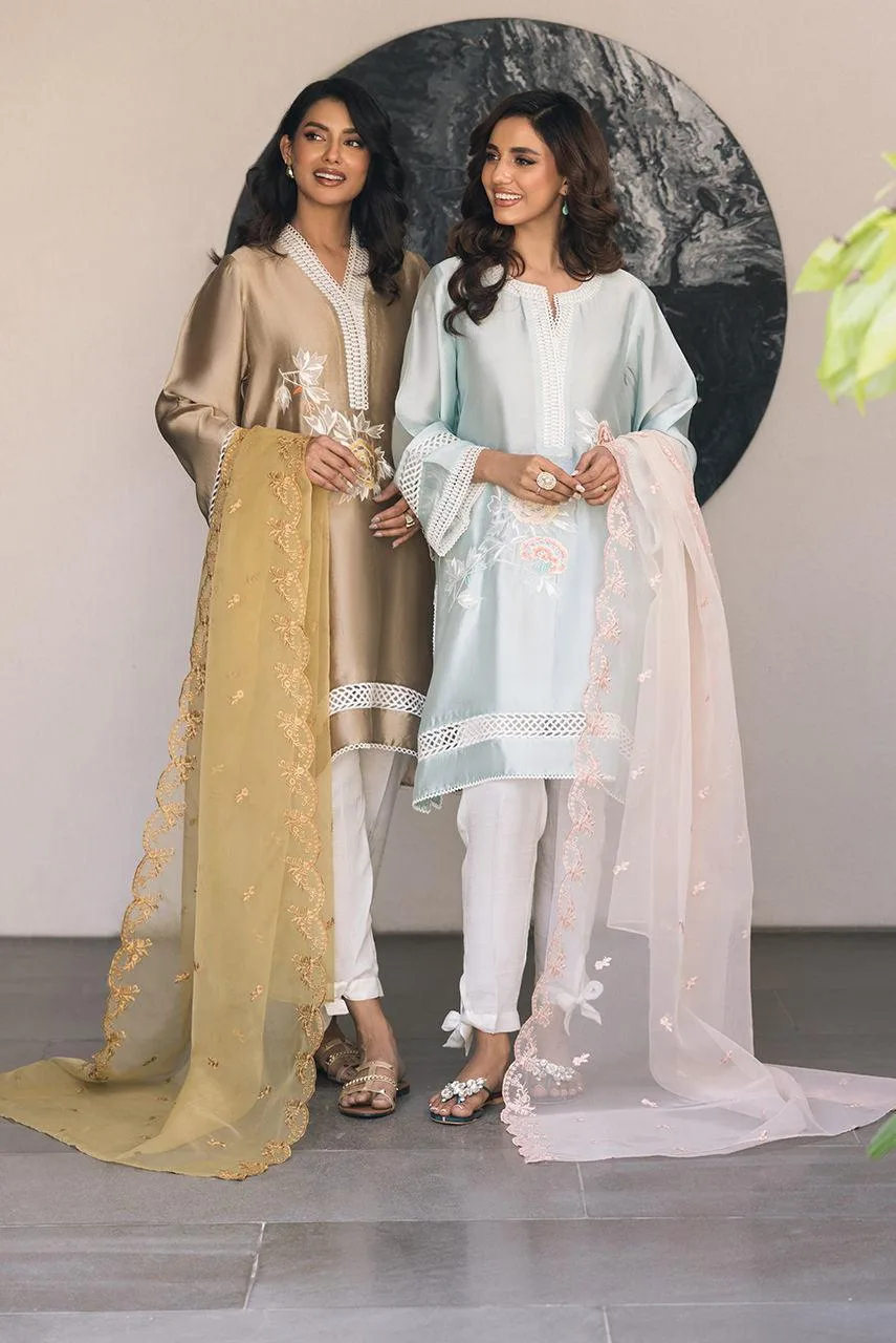 Deepak Perwani Eid Edit 25 Pink Organza – view 7 – Poshaq