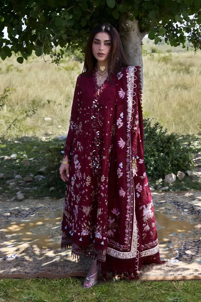 Maroon Organza – view 1 – Poshaq