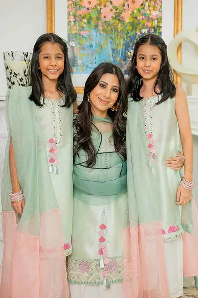 Angan Eid Edit Raw Silk – view 2 – Poshaq
