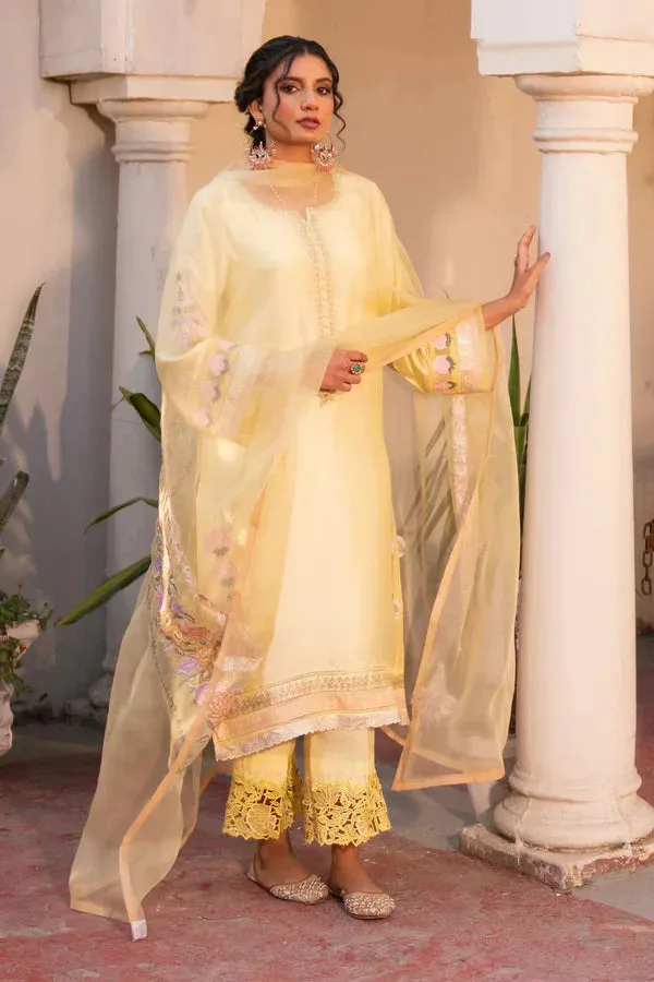 Angan Eid Edit Organza – view 1 – Poshaq