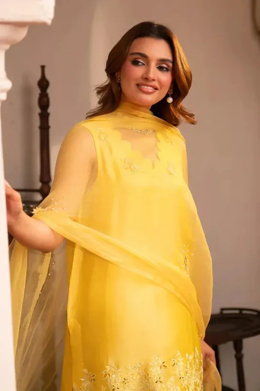 Angan Eid Edit Organza – view 1 – Poshaq