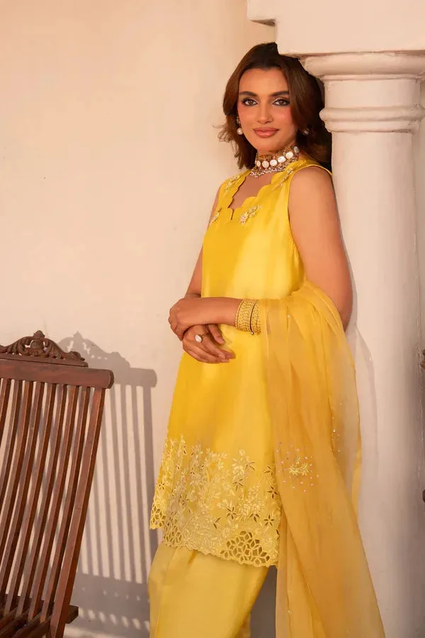 Angan Eid Edit Organza – view 2 – Poshaq
