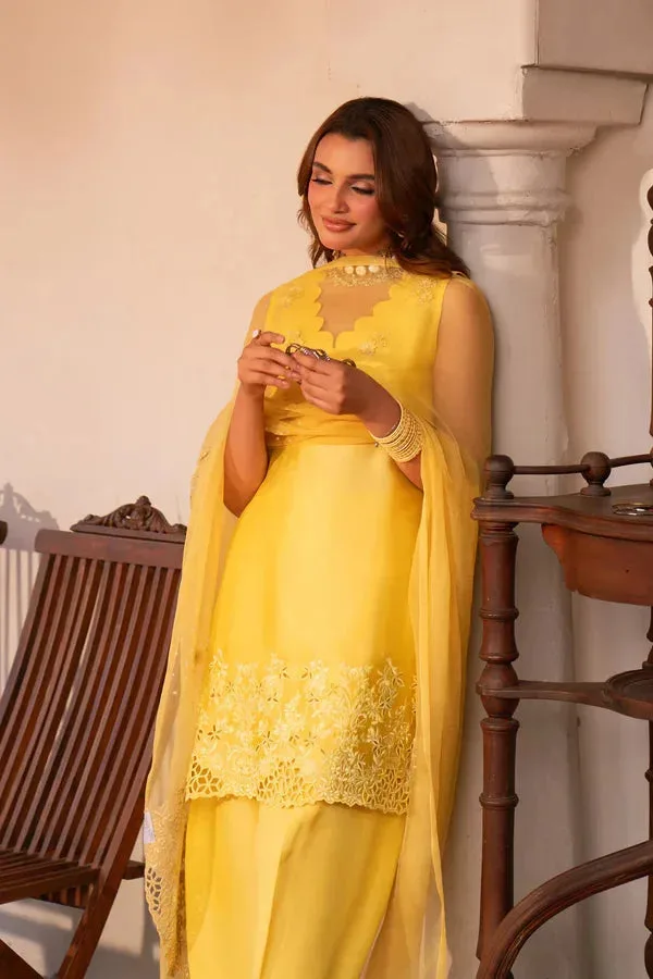 Angan Eid Edit Organza – view 4 – Poshaq