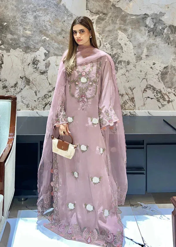 Lyana Eid Edit'26 Pink Organza – view 4 – Poshaq
