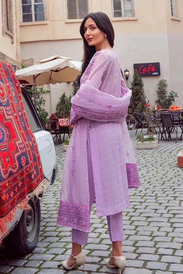 Noor e Zaib Organza – view 4 – Poshaq