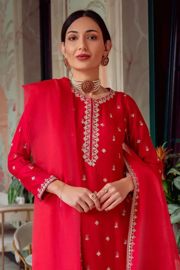 Noor e Zaib Organza – view 2 – Poshaq
