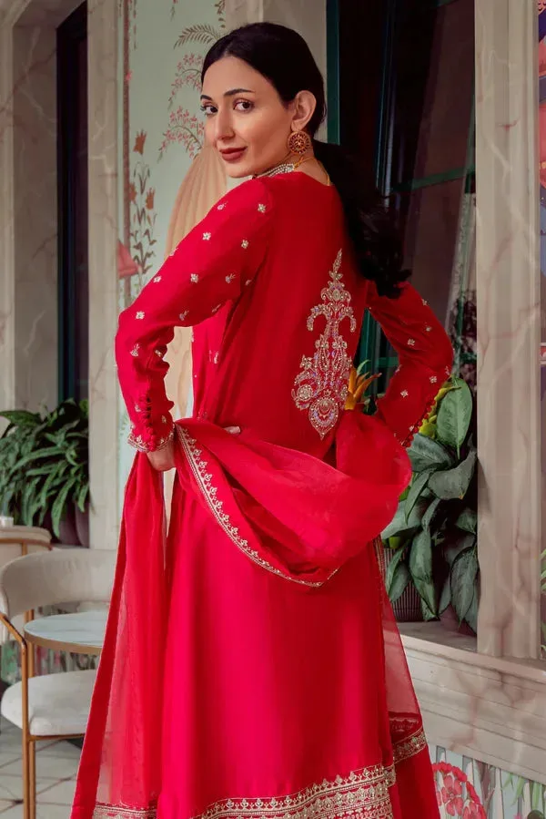 Noor e Zaib Organza – view 3 – Poshaq