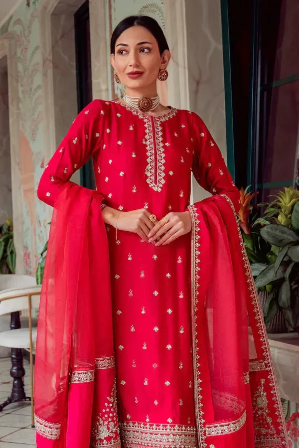 Noor e Zaib Organza – view 4 – Poshaq