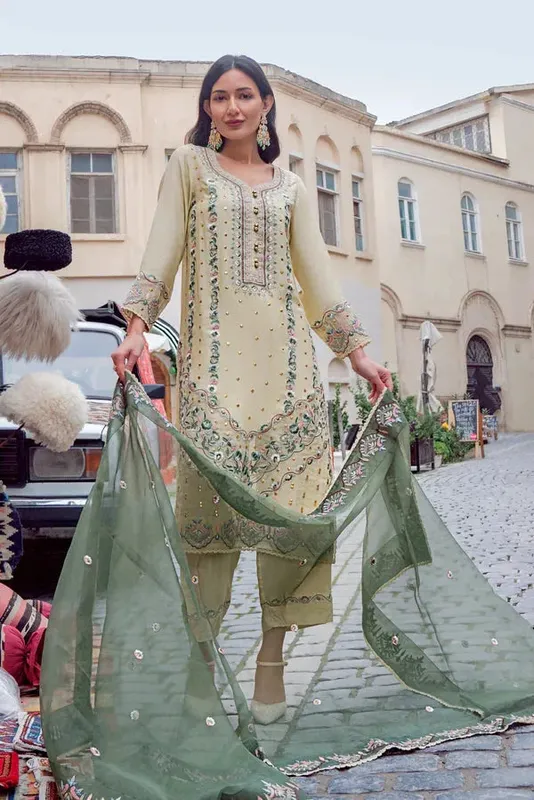 Noor e Zaib Organza – view 1 – Poshaq
