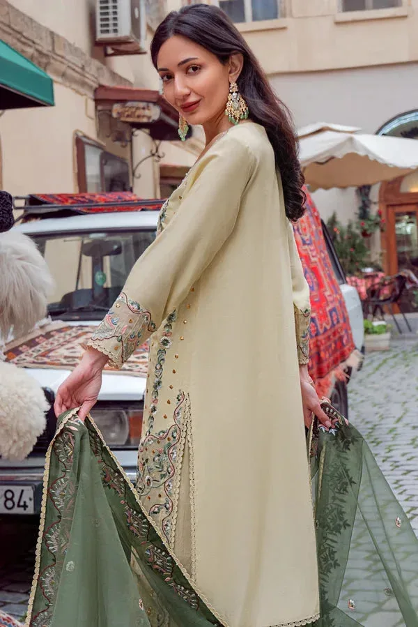 Noor e Zaib Organza – view 2 – Poshaq